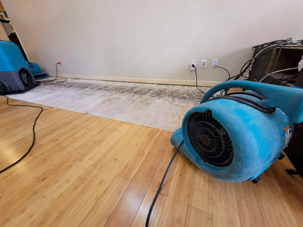 Professional Water Removal technician working in Mukwonago, WI